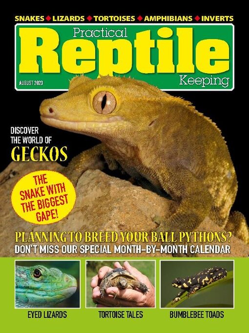 Title details for Practical Reptile Keeping by David Alderton - Available